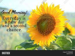 In the morning, you can send a morning image from here and bring a smile on his face. Inspirational Quote Image Photo Free Trial Bigstock