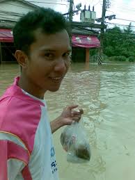 น้ำท่วมหาดใหญ่ 2/11/53