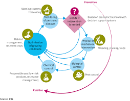 Ipm, or integrated pest management, is a pest control strategy that keeps the 4 steps to effective integrated pest management. Main Steps Of Integrated Pest Management Download Scientific Diagram