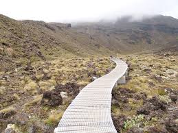 Image result for tongariro crossing