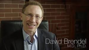 Think Talk Create: Building Workplaces Fit For Humans: Brendel, David,  Stelzer, Ryan: 9781541730564: Amazon.com: Books