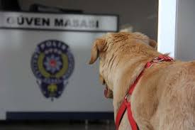 Kaybolan Kopek Polis Karakoluna Sigindi Son Dakika Haberleri Internet