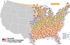 2003 Hummingbird Migration Maps