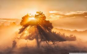 198 good morning sunshine clip art images on gograph. Morning Sunshine Wallpapers Top Free Morning Sunshine Backgrounds Wallpaperaccess