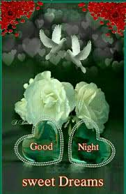 Sweetheart I Don T Know Where You Are Tonight But Please Love Take Care Good Night Flowers Good Night Good Night Sweet Dreams