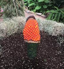 Close Encounters Of Rosie The Corpse Flower