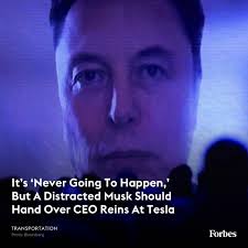 Earnings were weaker than expected, the near-term outlook is murky, EV  sales are down, and Elon Musk is more distracted than ever before. But with  a phalanx of loyal shareholders and a