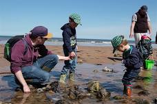 Rockpool rummaging (Family Event 30 July) West Runton