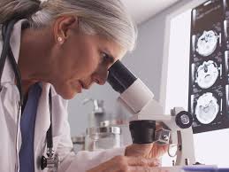 Por todo el mundo, el día internacional de la mujer se celebra. 11 De Febrero Dia Internacional De La Mujer Y La Nina En La Ciencia