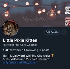 Little Pixie Kitten (@lilpixiekitten)  X