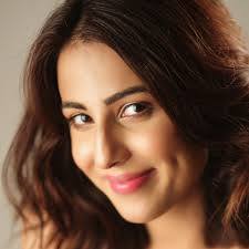 Punjab Nahi Jaungi (2017)