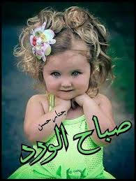 pin by majida aleqabi on good morning good morning beautiful good morning beautiful images beautiful images