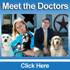 With preventative care during your pet's wellness exams, we will thoroughly check all the different major body systems and for signs of any problems. Parker County Vet Hospital Weatherford S Best Veterinarian Clinic