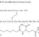 Structural composition of insulin degludec. A1 and A21 ...