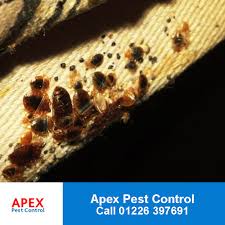 Apex helps improve lives with pest control services that protect the health and well being of people, and the reputation of our customers businesses. Apex Pest Control Barnsley