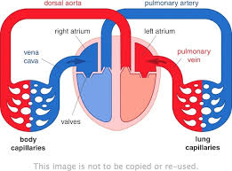 We did not find results for: New Gcse Add L Science Ocr Gateway Sb Page 30