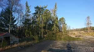 Image result for site:byggahus.se stephan