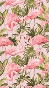 Flamingo Wallpaper Blush Pink Lukisan Flamingo Lukisan Bunga Lukisan Kaktus
