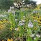 Goodbye Garden Guesswork… Hello Happiness! Gregg Tepper