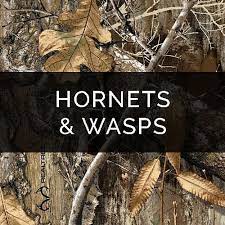 Maybe you would like to learn more about one of these? Becky S Pest Solutions Central Mn Pest Control