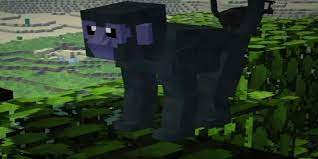 Zoológico y los animales salvajes de la mod (zawa) se centrarán en las . Zoo And Wild Animals Mod Minecraft Apk 1 Download For Android Download Zoo And Wild Animals Mod Minecraft Apk Latest Version Apkfab Com