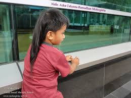 10 artis indonesia yang pernah 'keren' dengan rambut via www.hipwee.com. Gaya Rambut Anak Laki Laki 2016 Kompasiana Com