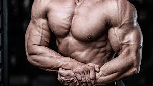 (colloquial, usually in the plural) the pectoralis major muscle. Tip 6 Quick Tips For Complete Pec Development