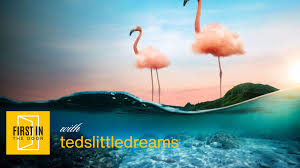 First In The Door with TedsLittleDreams