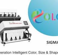 Automatic Watermelon Seeds Color Sorter Machine, For Industrial, Capacity:  1400 KG/H (1.4 Ton/H )