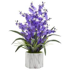 Nearly natural was founded in 2002 with over 75 years of botanical experience, we are pioneers in the artificial floral industry, providing customers with the most realistic versions of artificial flowers, fake plants, and fake trees. Home Decor Nearly Natural 1822 Pp Dancing Lady Orchid Artificial Blue Vase Silk Arrangements Purple Artificial Plants Flowers