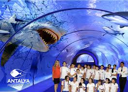 Okul Gezileri Antalya Akvaryum Antalya Aquarium Tunel Akvaryum