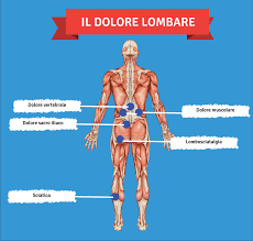 Mal Di Schiena Zona Lombare Cosa Lo Causa E Come Curarlo Con Esercizi Mirati L Altra Riabilitazione