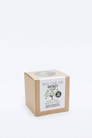 Birth Month Flower Grow Kit Uk Grow Your Own Money Plant Kit Money Plant Grow Your Own Trees To Plant
