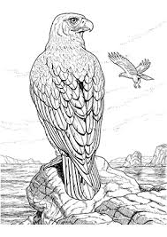Ausmalbild Adler 2 In 2020 Ausmalbilder Bunte Bilder Ausmalen
