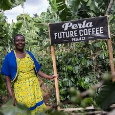 Moving brands our philosophy on mobile food solutions in one minute. Ahold Delhaize Coffee Company
