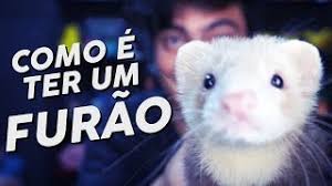 200 avenue a, ny, ny, 10009. Como E Ter Um Furao Youtube