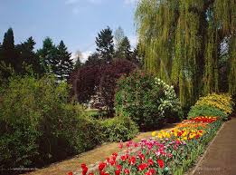 Botanischer garten krefeld der frühling kommt in diesem jahr zwar zögerlich, aber die natur schickt uns ihre vorboten. Krefeld Botanischer Garten