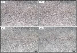 Image result for Grey 1996 CIL