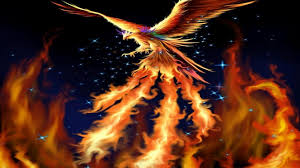 Phoenix Wallpapers Hd Wallpaper Cave All high quality phone and tablet hd wallpapers on page 1 of 25 are available for free download. phoenix wallpapers hd wallpaper cave