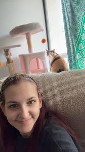 Mobile dog grooming services in Arrowbear?