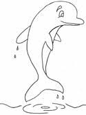 Here are our top 10 crab coloring pages printable! Dolphins Coloring Pages