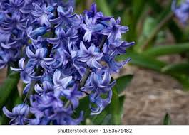 We did not find results for: Stock Photo And Image Portfolio By Denica Ruseva Shutterstock