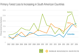 these charts show just how much forest were losing every