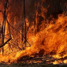 Auf unserer karte finden sie alle unsere ferienhäuser. Australien Buschfeuer In Bundesstaat New South Wales Besiegt Stern De