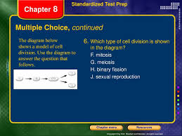 Some of the worksheets for this concept are chapter 13 meiosis and sexual life cycles, meiosis webquest answer key, 114 meiosis answer key, meiosis phases work answers, cells alive meiosis phase work answers, meiosis lab. How To Use This Presentation Ppt Download