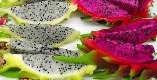 Jadi warna merah itu bukanlah darah. 15 Manfaat Buah Naga Superfood Dengan Kandungan Superior