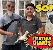 GÜVERCİN İHALESİNE KATILDIM, AĞ BULUDİ ALDIM !