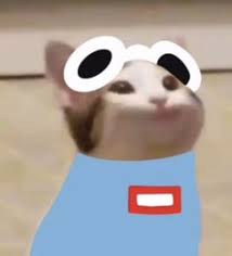 19 Bop Cat Mcyts Ideas In 2021 Pop Cat Dream Team Dream Art