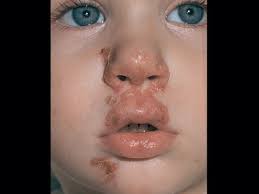 Anatomy And Physiology by eudycaleb