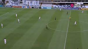 This season palmeiras participated in the campeonato paulista, copa libertadores. Y Aldi7fk6j0lm